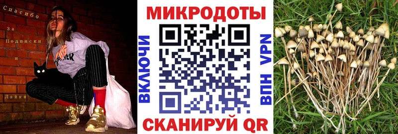 Галлюциногенные грибы ЛСД  блэк спрут ссылки  Иланский  цены наркотик 